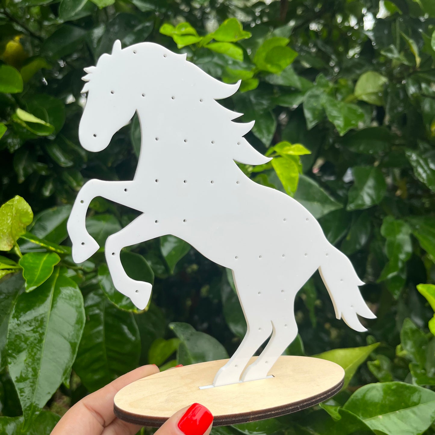 Unicorn Head Acrylic Earring Stand