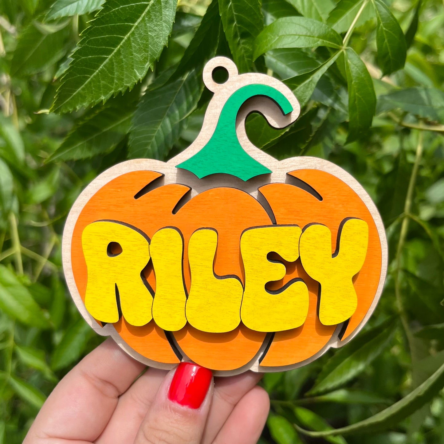 Pumpkin Wood Bag Tag