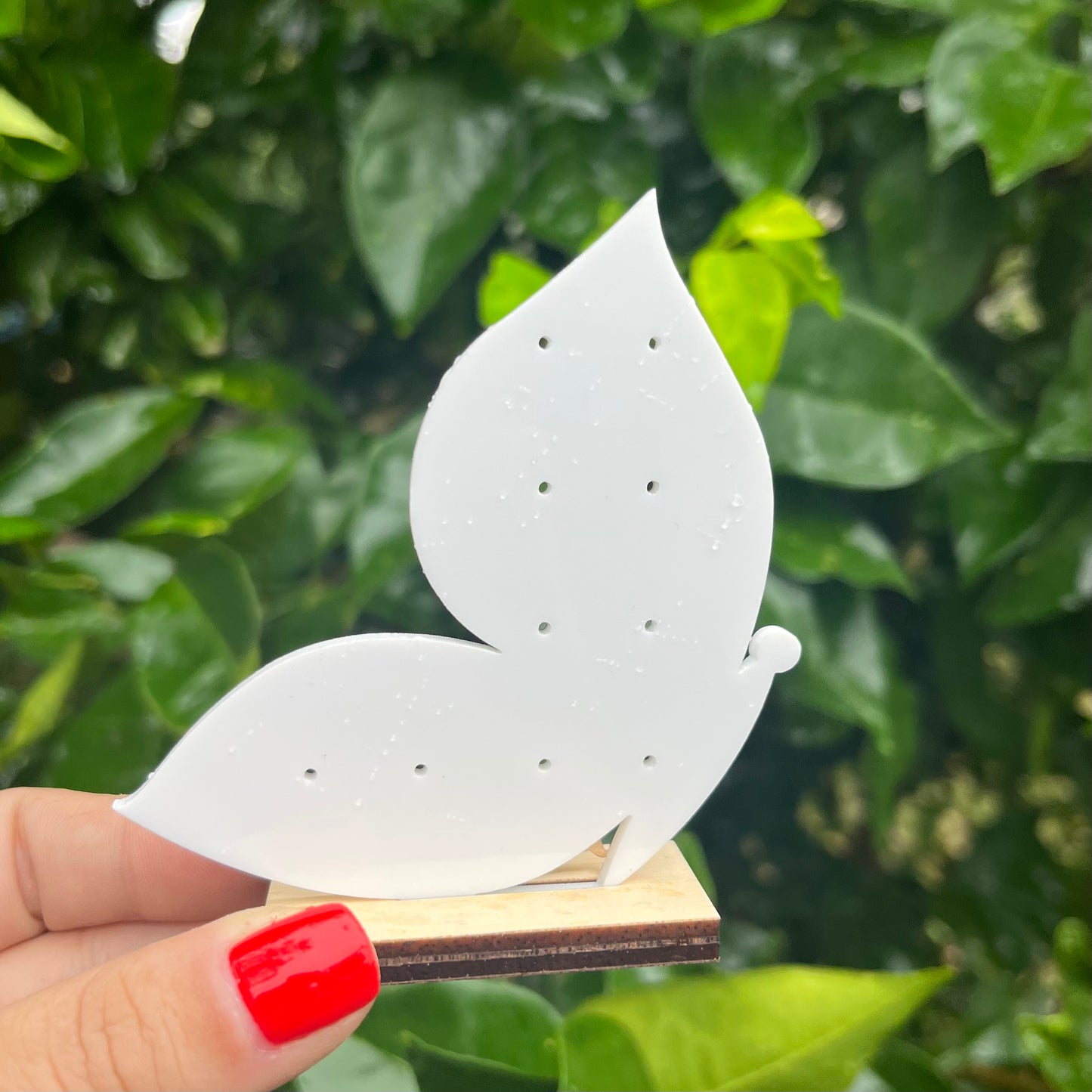 Star Acrylic Earring Stand