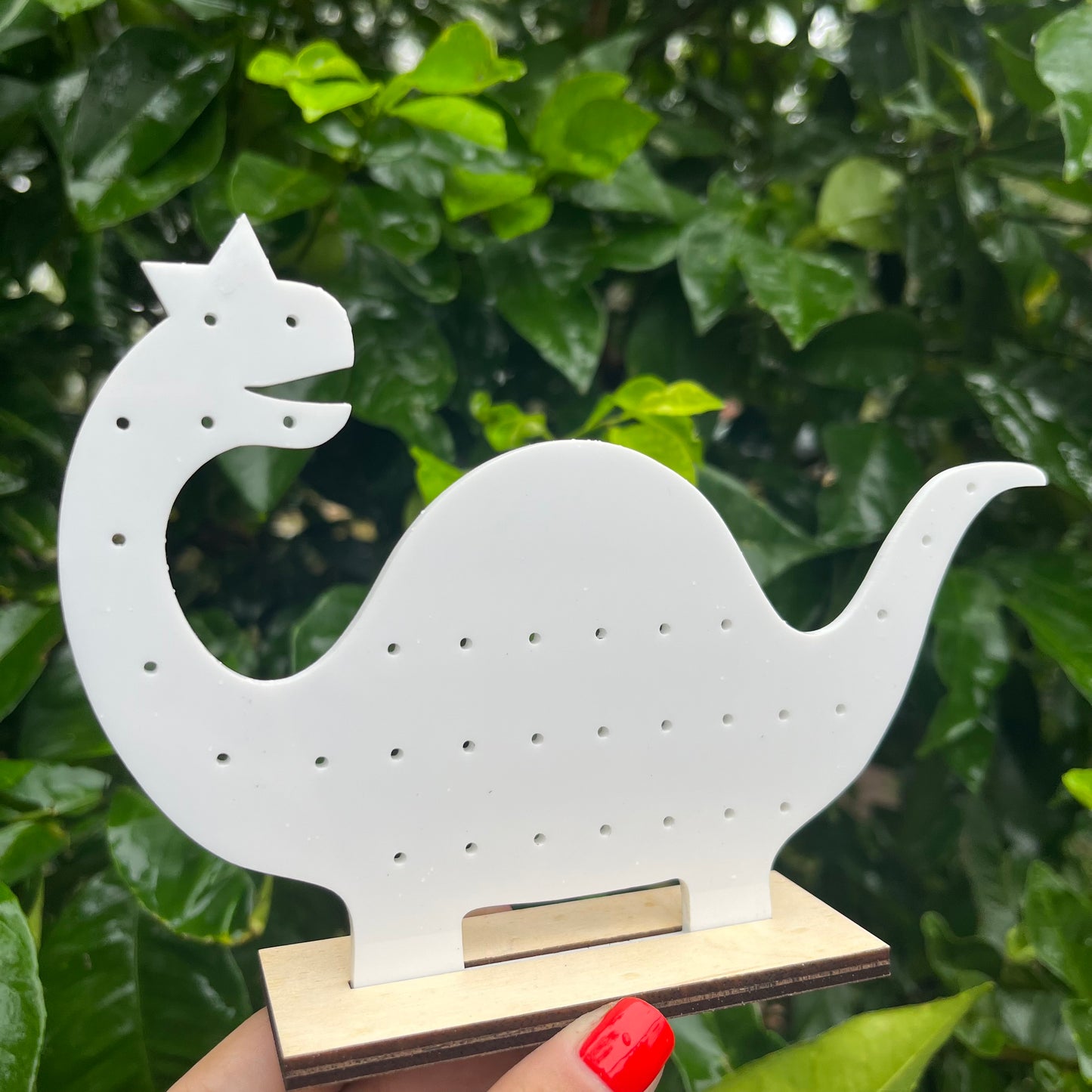Star Acrylic Earring Stand