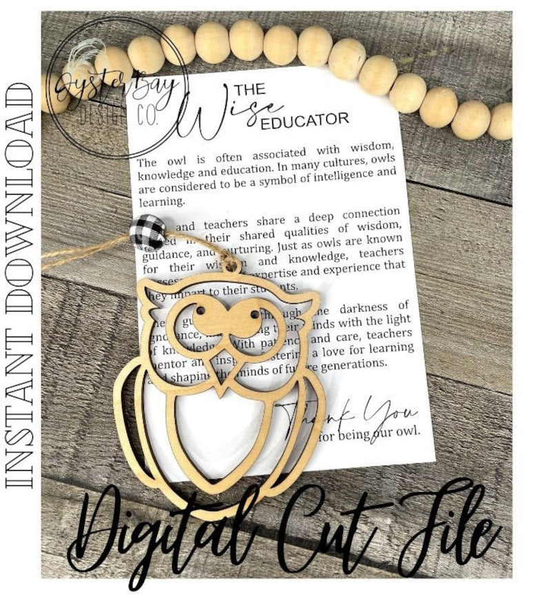 The Wise Educator Owl Car Charm