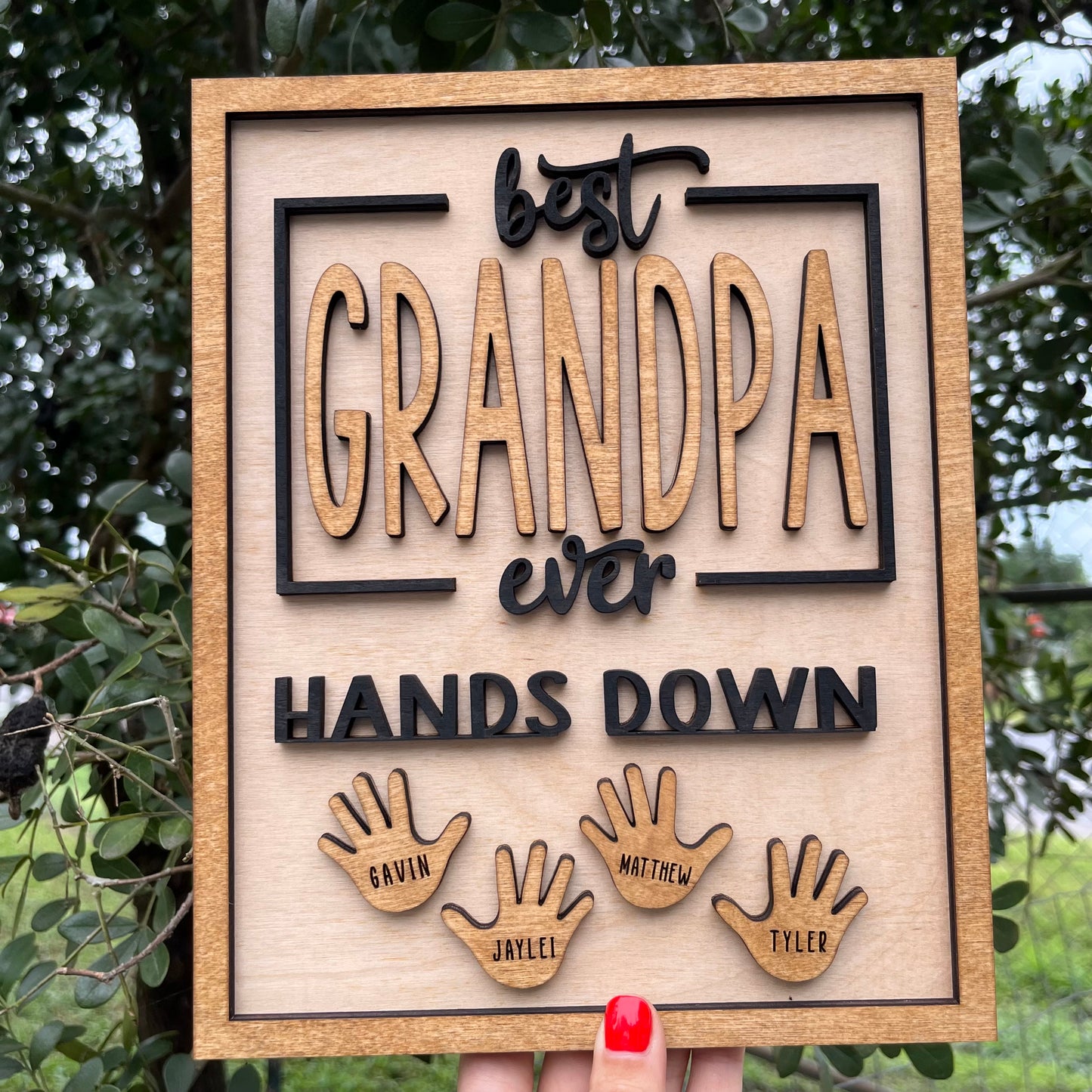 Best Daddy Ever Hands Down Sign