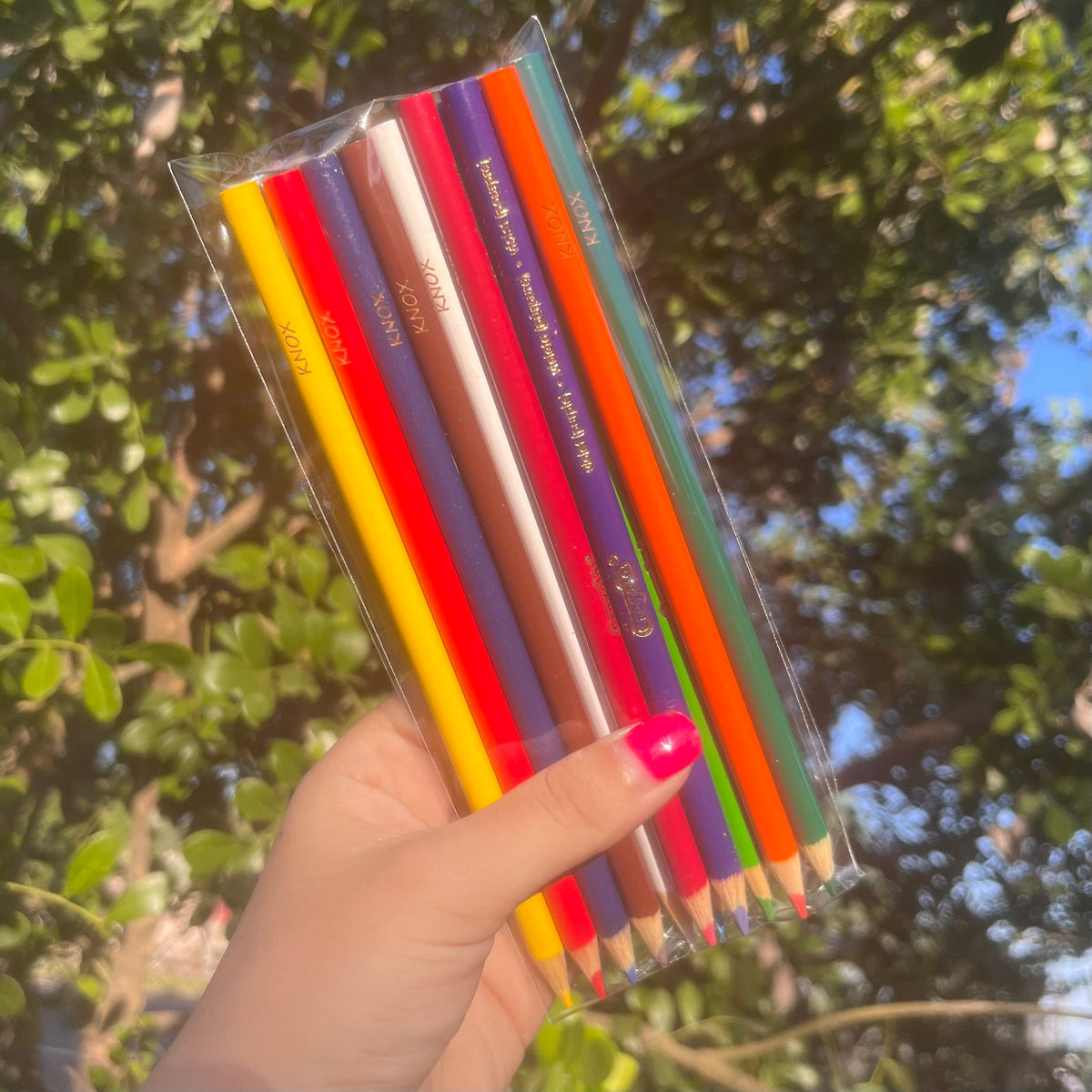 Personalized Colored Pencils WHOLESALE A Girl Named Lee