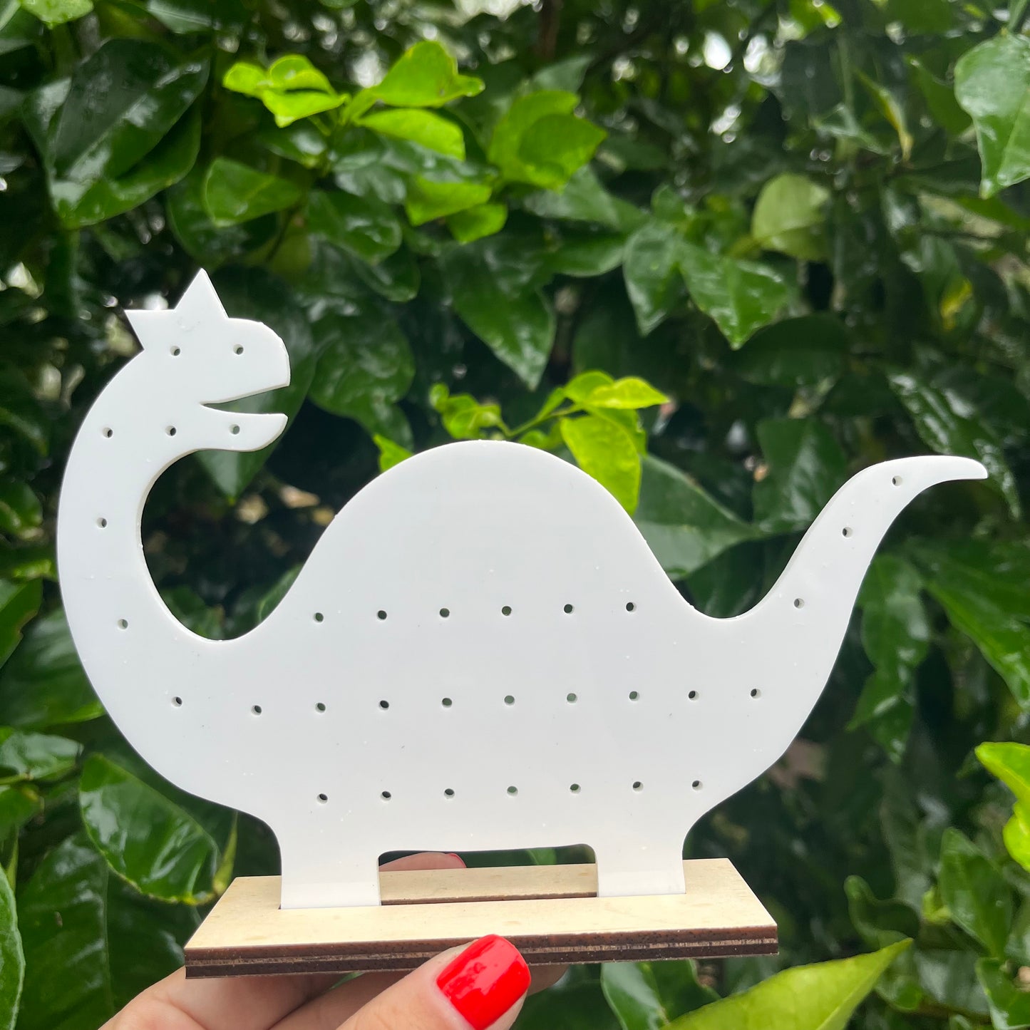Star Acrylic Earring Stand