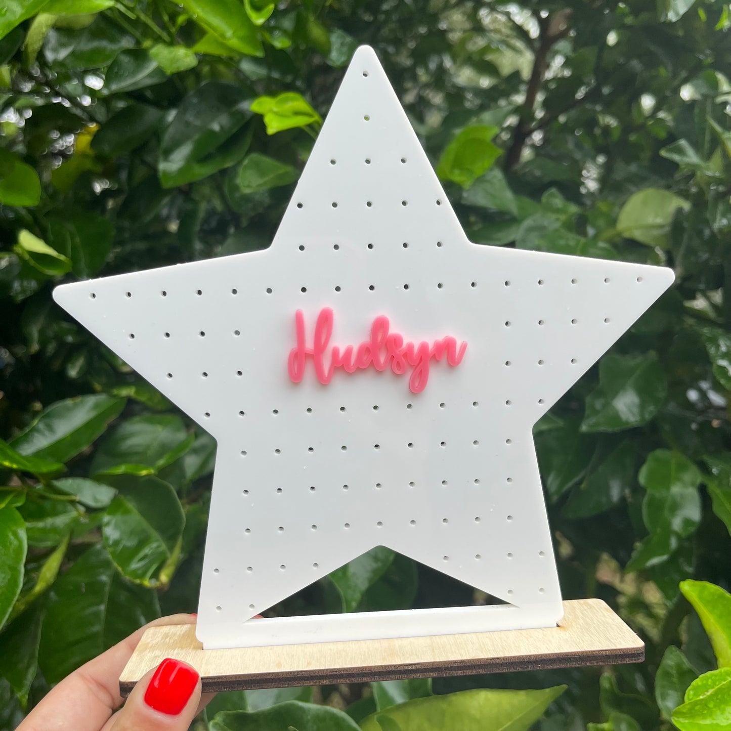 Star Acrylic Earring Stand
