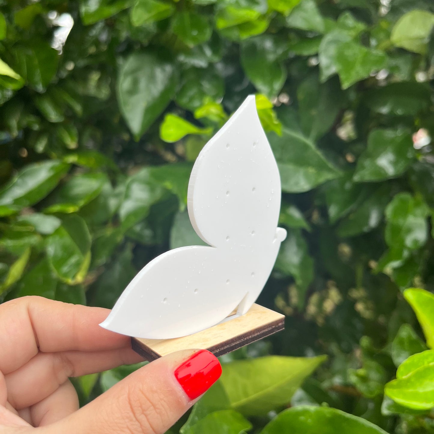 Star Acrylic Earring Stand